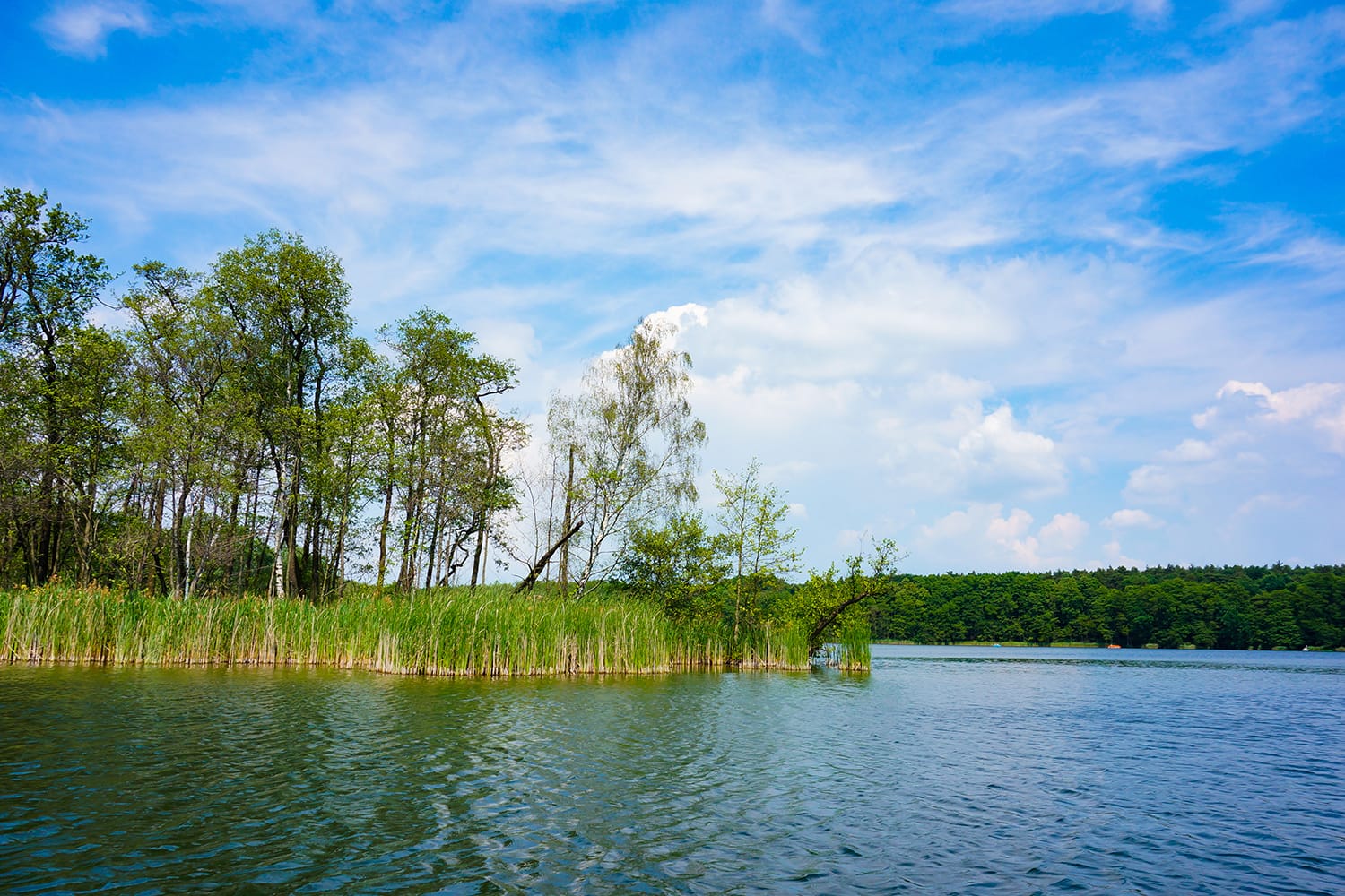 A beautiful shot of Rusalka lake in Poznan, Poland
