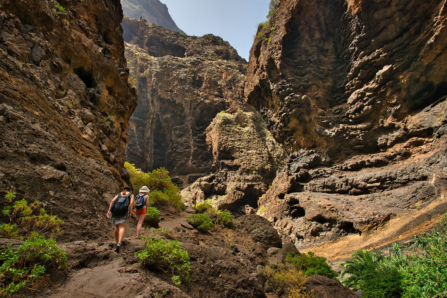 Hikers in Tenerife, Canary Islands