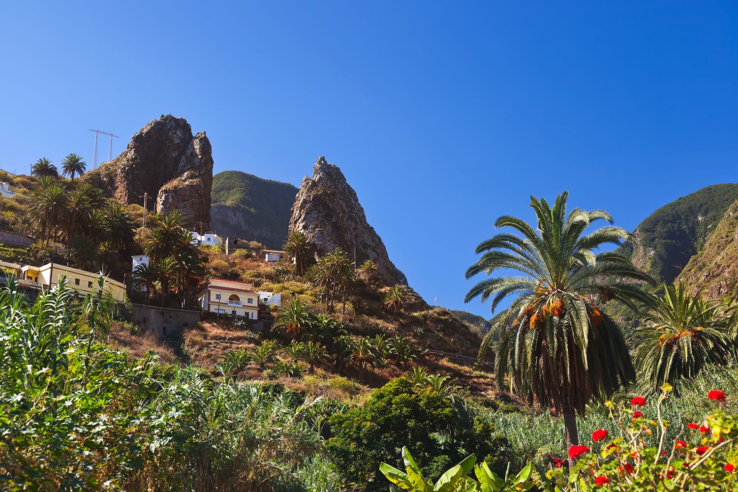 Hermigua valley in La Gomera island - Canary Spain