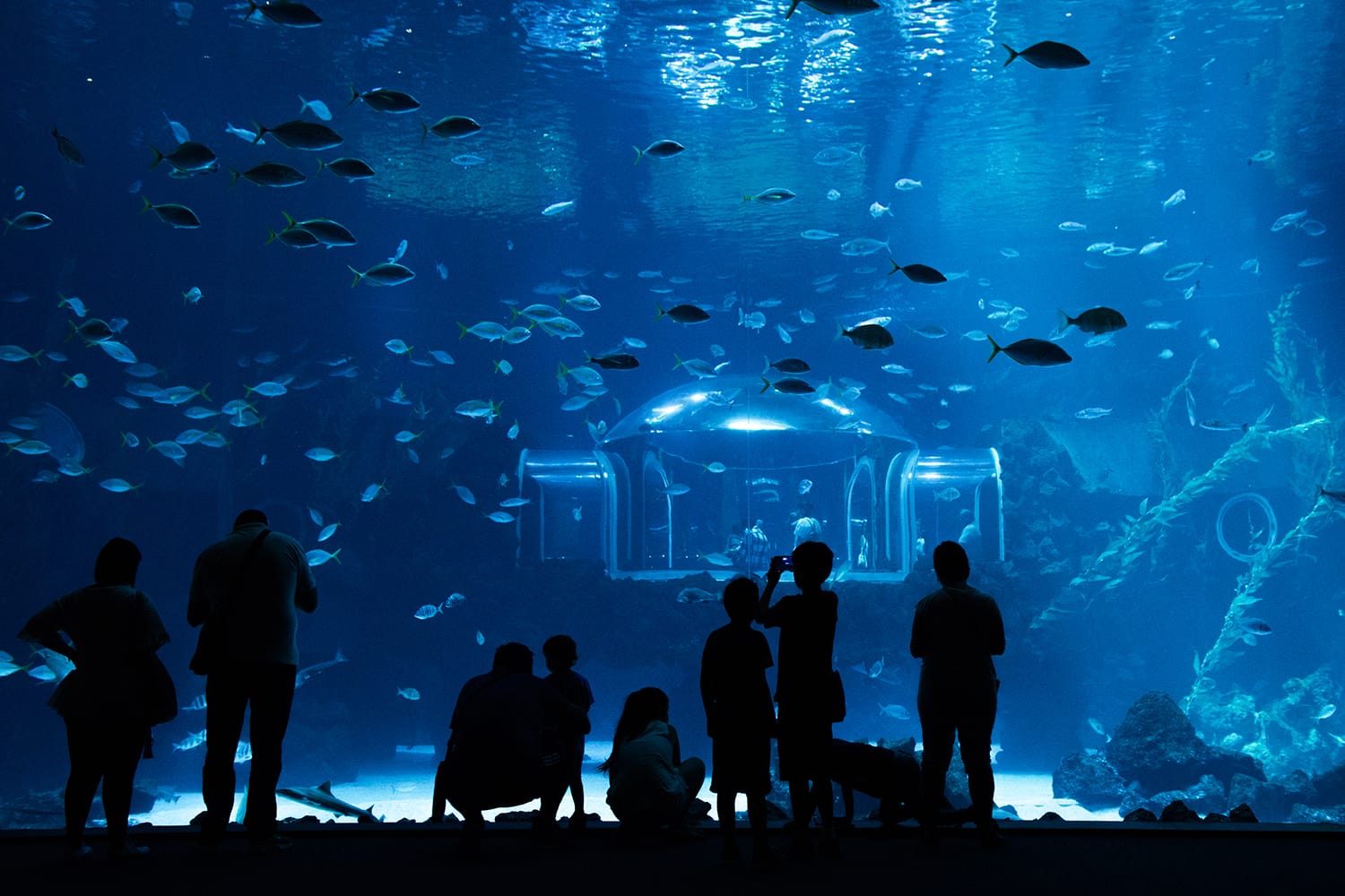 Visitors enjoy beautiful view of marine life in the biggest tank of new Aquarium Poema del Mar, Gran Canaria.