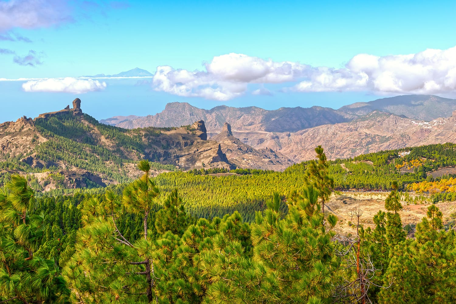 View from Pico de las Nieves in Gran Canaria, Spain