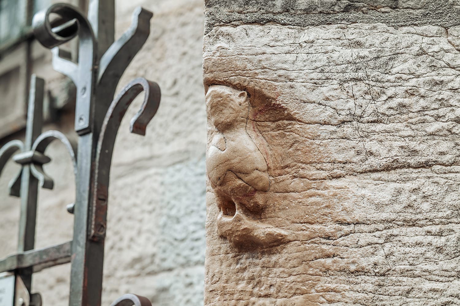 Magic Owl carved in relief on north wall of Eglise Notre-Dame de Dijon, France
