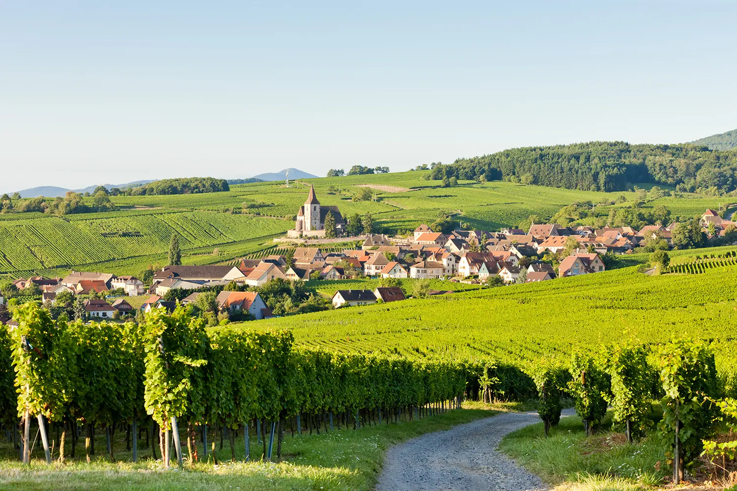 Village of Hunawihr in Alsace, France