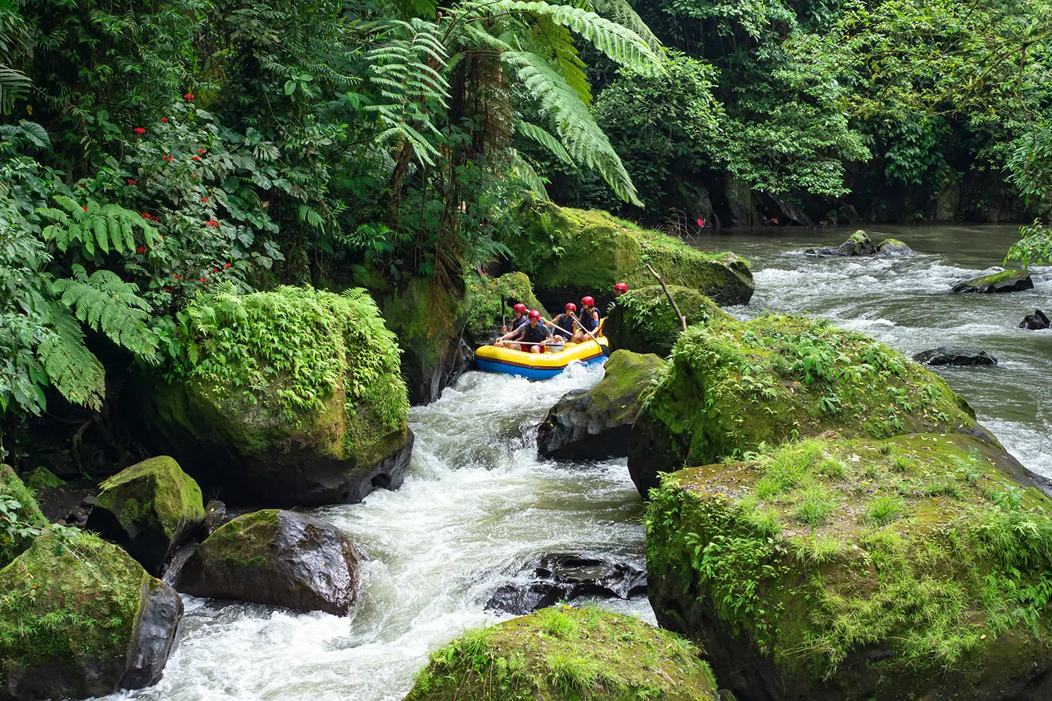 Rafting on the Ayung River in Bali