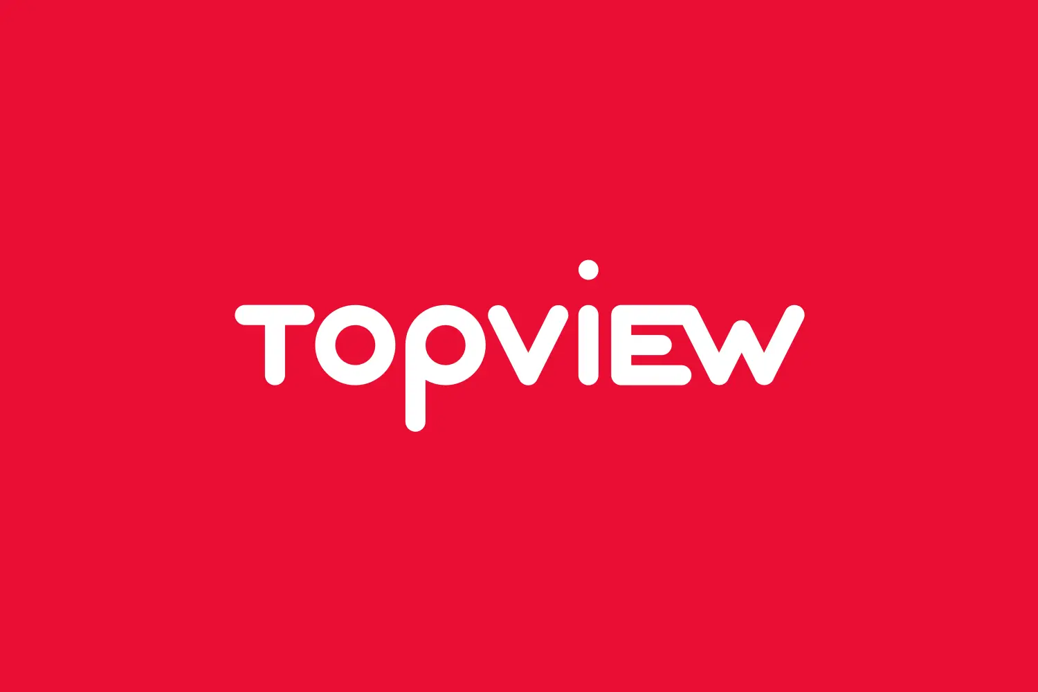 Topview Logo Banner