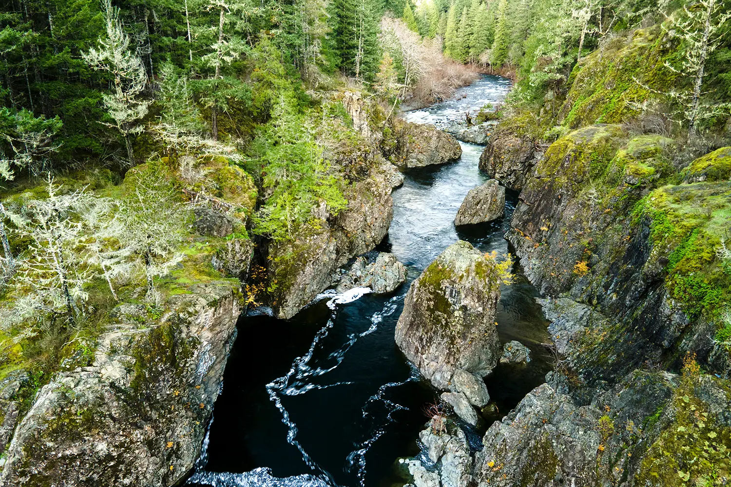 A river surrounded by rocks and trees in Sooke Potholes Provincial Park, Vancouver Island