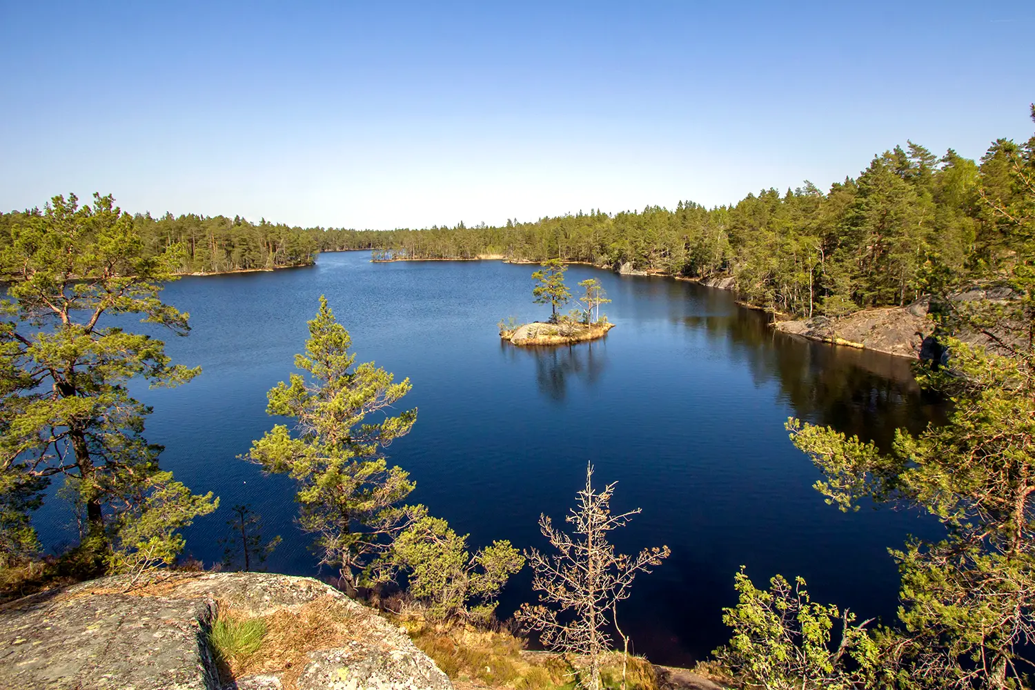 Tyresta National Park close to Stockholm city, Sweden