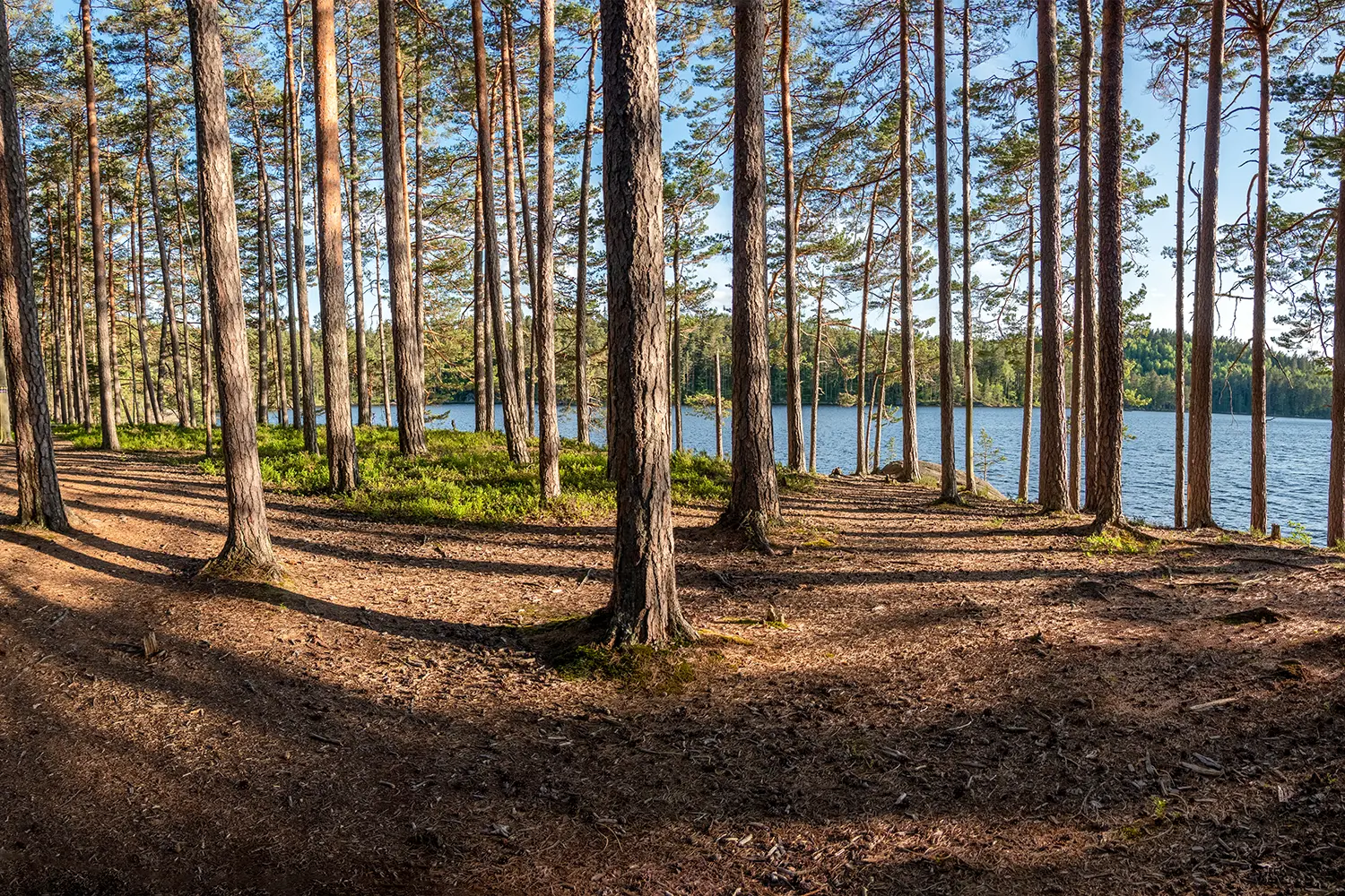 Tiveden National Park in Sweden
