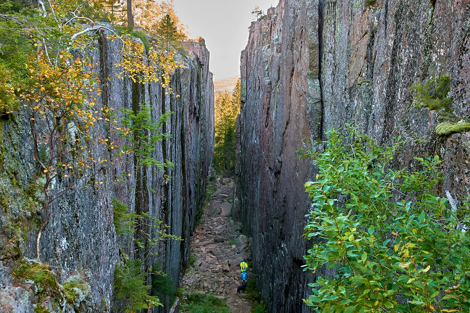Hiking in Skuleskogen national park Sweden