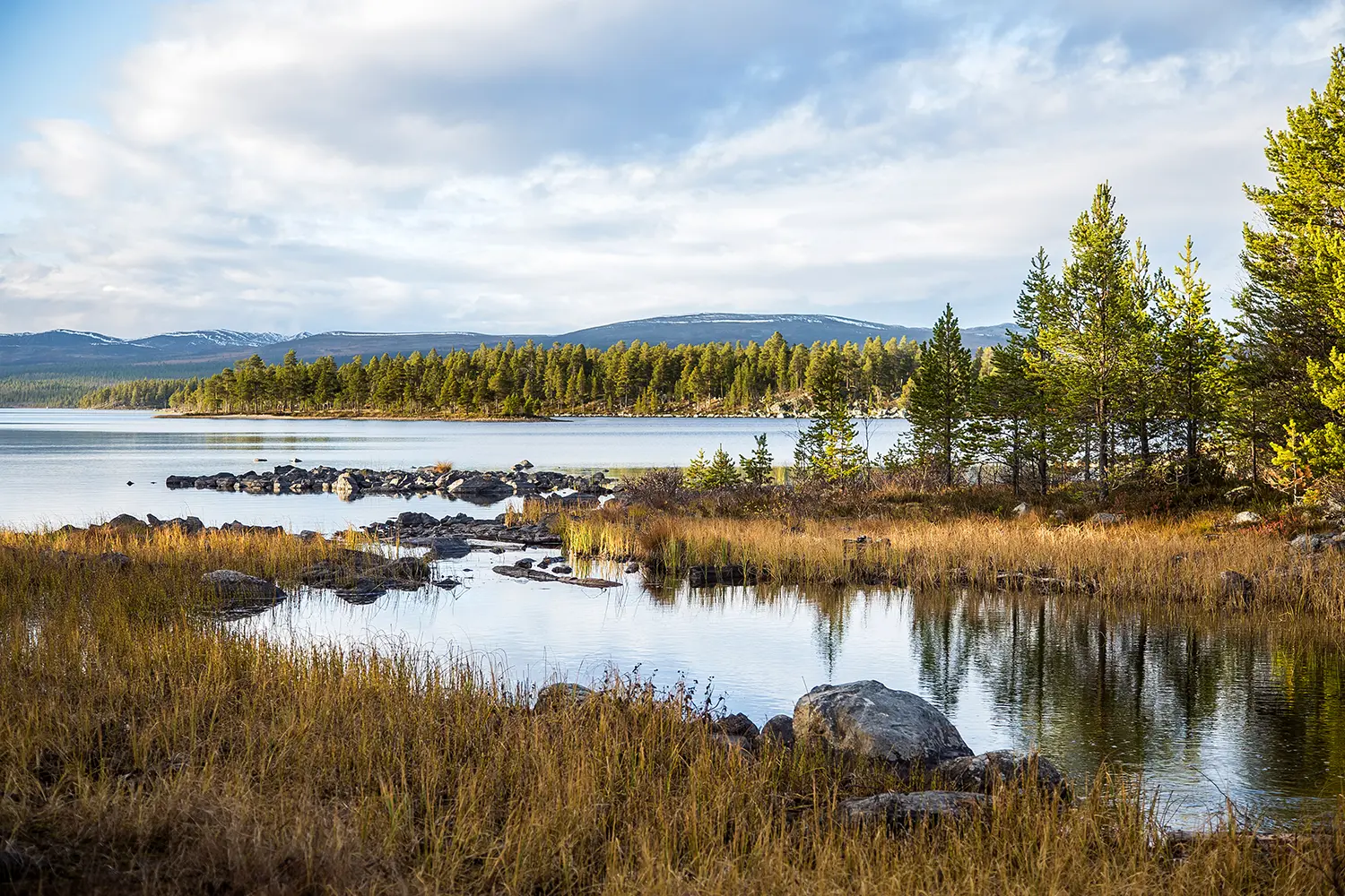 A beautiful lake landscape in Femundsmarka National Park in Norway.