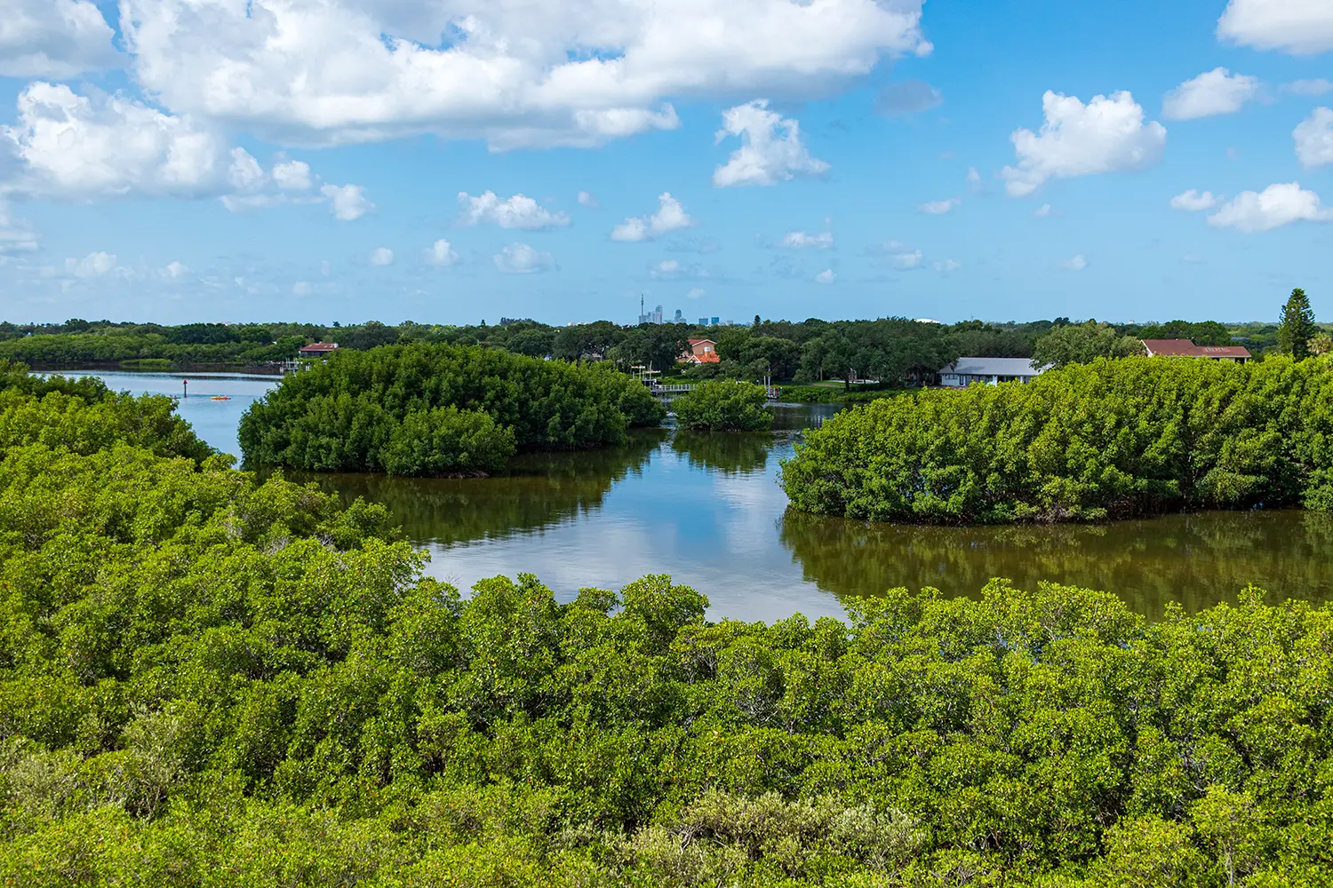 Weedon Island Preserve in St Petersburg, Florida, USA