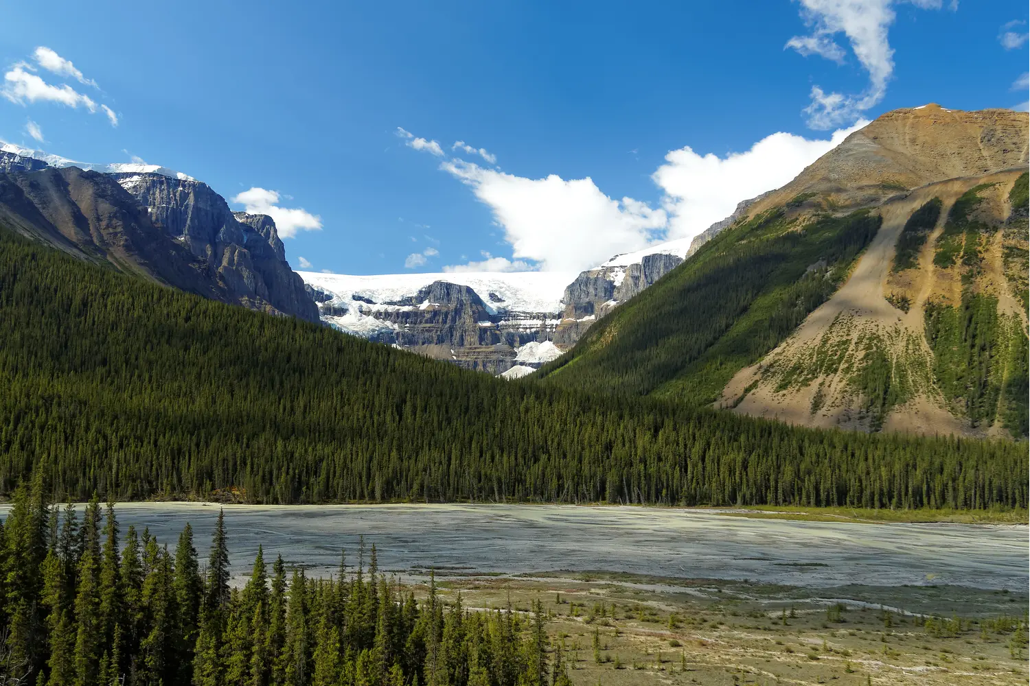 Stutfield Glacier Viewpoint in Canada
