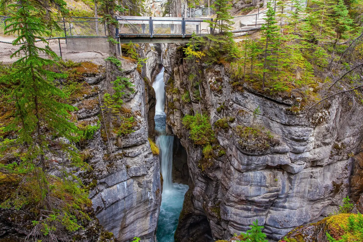 Tourist bridge over a magnificent cascading waterfall in Maligne Canyon, Jasper, Canada