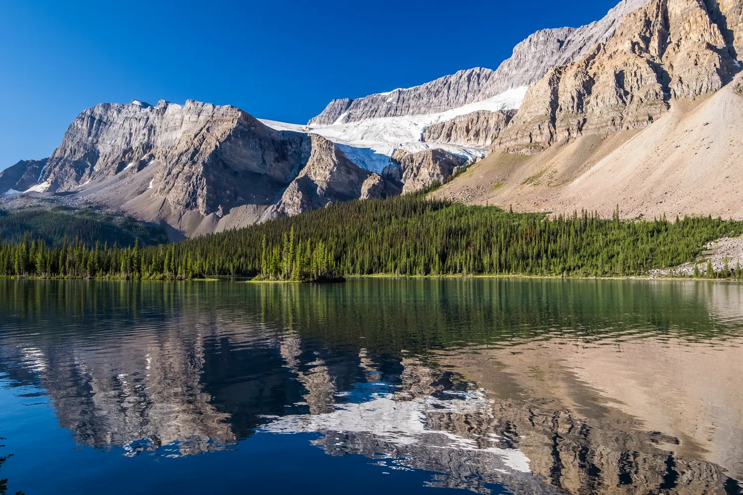 Crowfoot Glacier reflects on Bow Lake in Banff National Park
